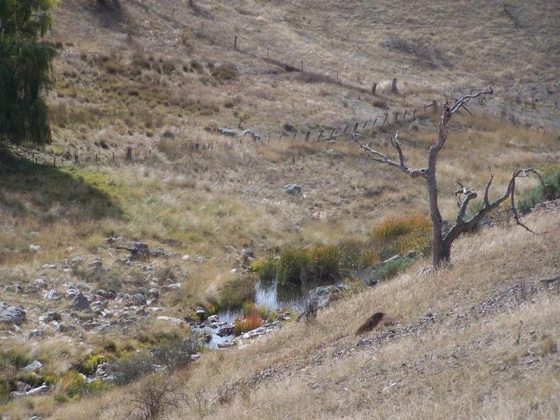 2580  Golspie Road, Golspie NSW 2580