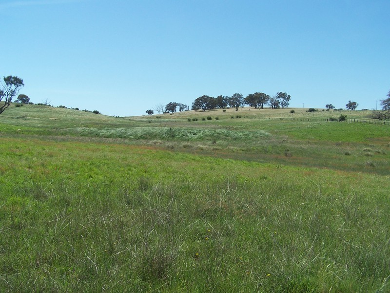 271 Woodville Road, Binda NSW 2583