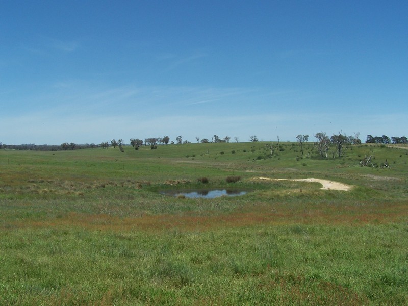 271 Woodville Road, Binda NSW 2583