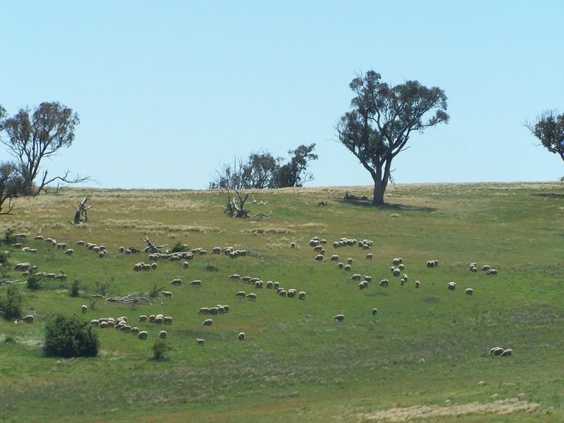 271 Woodville Road, Binda NSW 2583