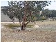 474 Fish River Road, Crookwell NSW 2583