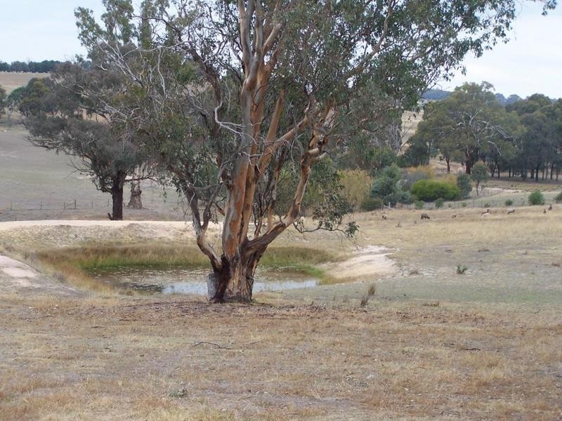 474 Fish River Road, Crookwell NSW 2583