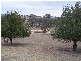 474 Fish River Road, Crookwell NSW 2583