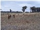 474 Fish River Road, Crookwell NSW 2583