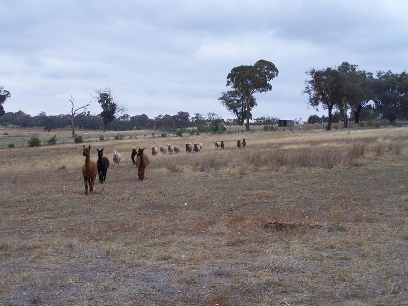 474 Fish River Road, Crookwell NSW 2583