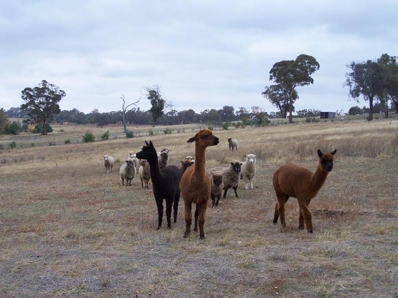474 Fish River Road, Crookwell NSW 2583