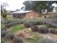 1628 Crookwell Road, Goulburn NSW 2580
