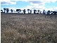 909 Windellama Road, Goulburn NSW 2580