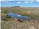 909 Windellama Road, Goulburn NSW 2580