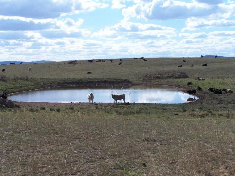 909 Windellama Road, Goulburn NSW 2580