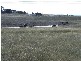 909 Windellama Road, Goulburn NSW 2580