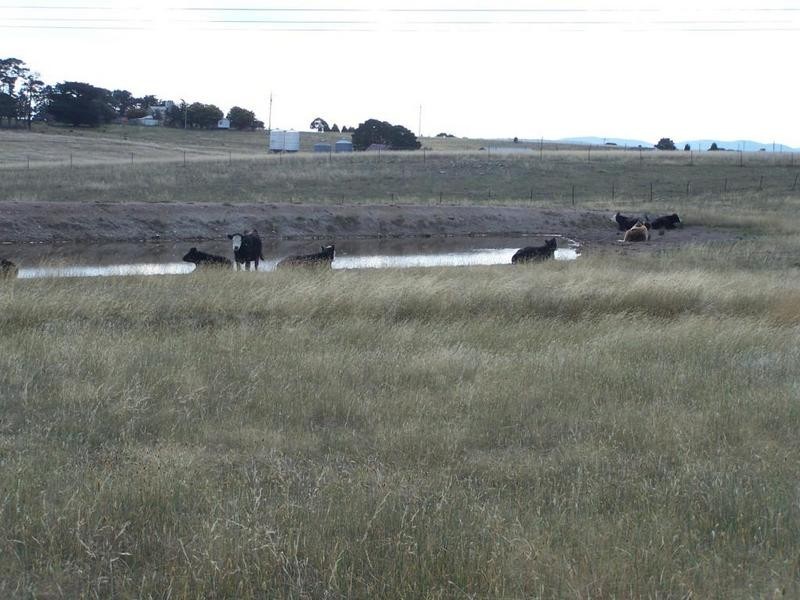 909 Windellama Road, Goulburn NSW 2580