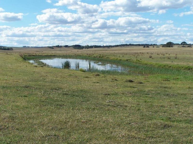 909 Windellama Road, Goulburn NSW 2580