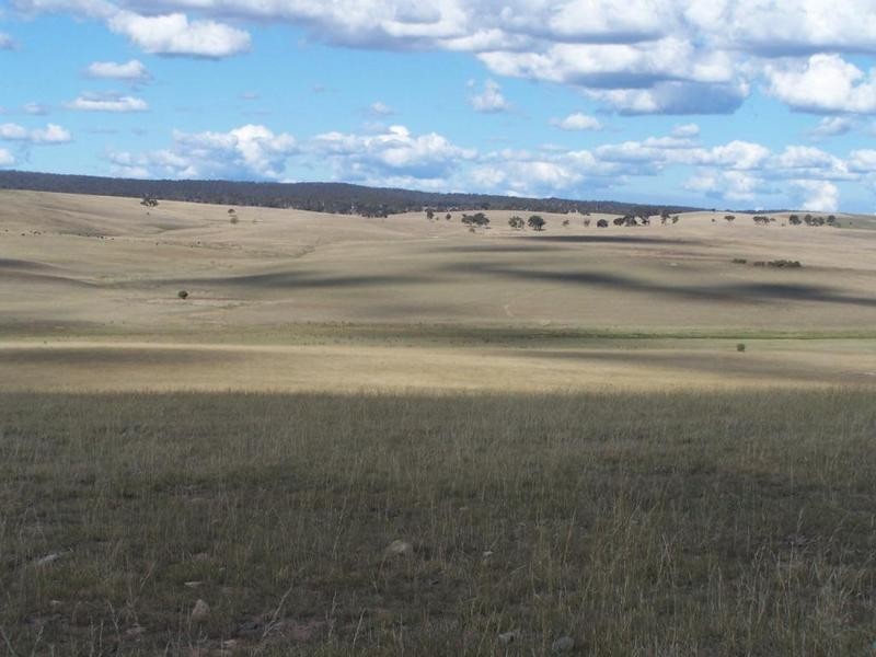 909 Windellama Road, Goulburn NSW 2580