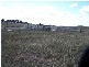 909 Windellama Road, Goulburn NSW 2580