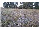 “Harley” Harley Road, Crookwell NSW 2583