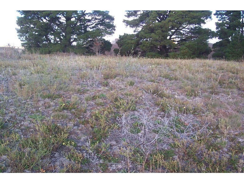 “Harley” Harley Road, Crookwell NSW 2583