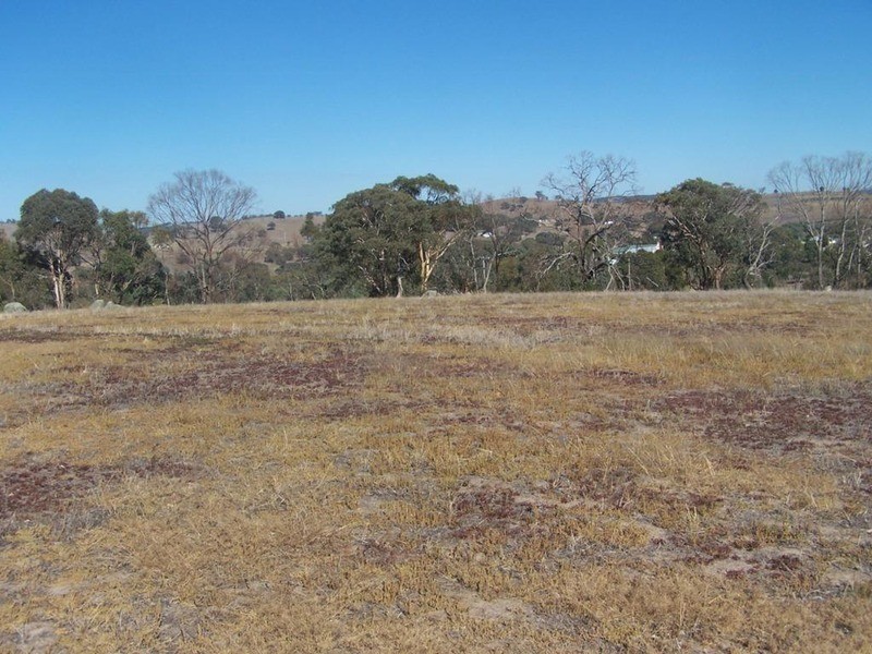 126 Mulgowrie Street, Bigga NSW 2583