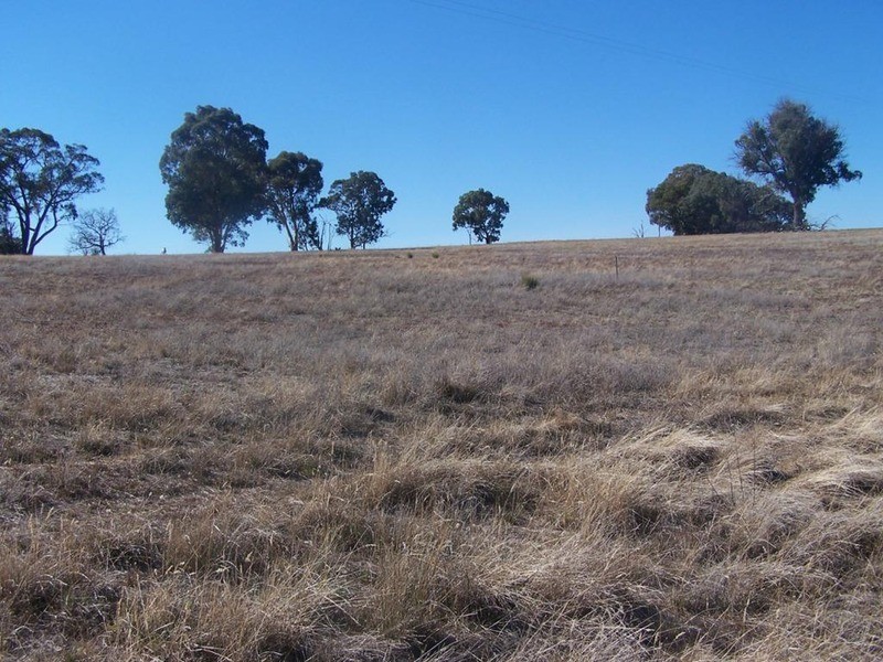 126 Mulgowrie Street, Bigga NSW 2583