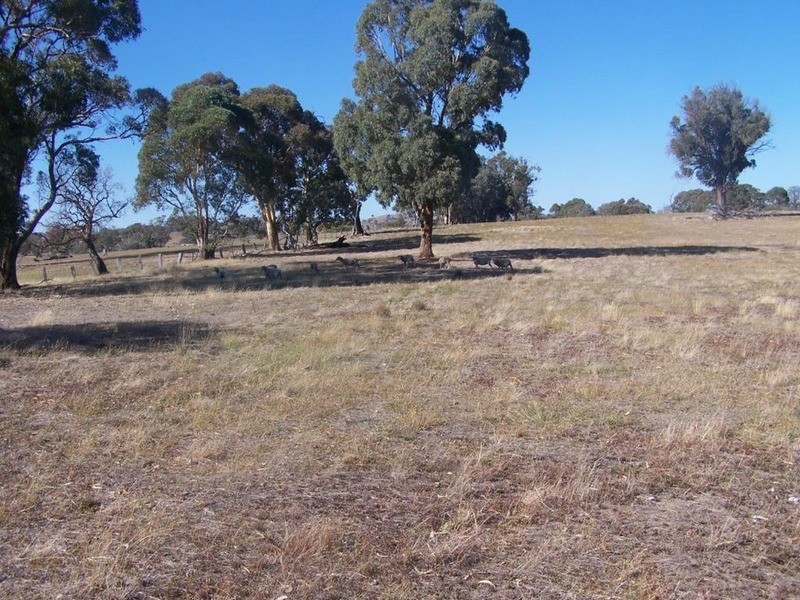 126 Mulgowrie Street, Bigga NSW 2583