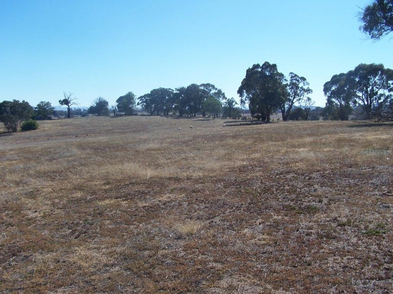 126 Mulgowrie Street, Bigga NSW 2583