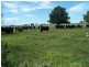 274 Painters Lane, Goulburn NSW 2580