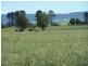274 Painters Lane, Goulburn NSW 2580
