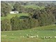 681 Sylvia Vale Road, Binda NSW 2583