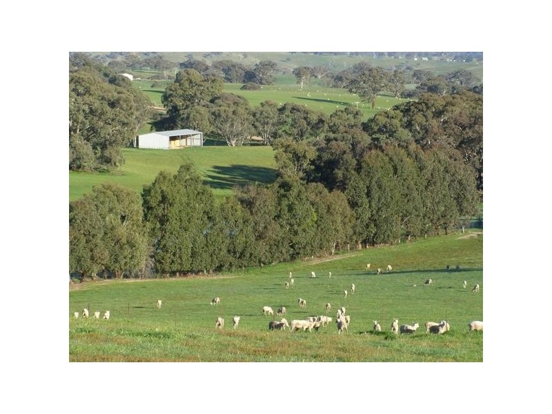 681 Sylvia Vale Road, Binda NSW 2583