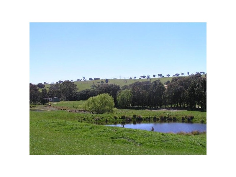 681 Sylvia Vale Road, Binda NSW 2583