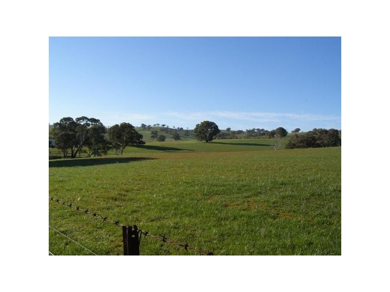 681 Sylvia Vale Road, Binda NSW 2583