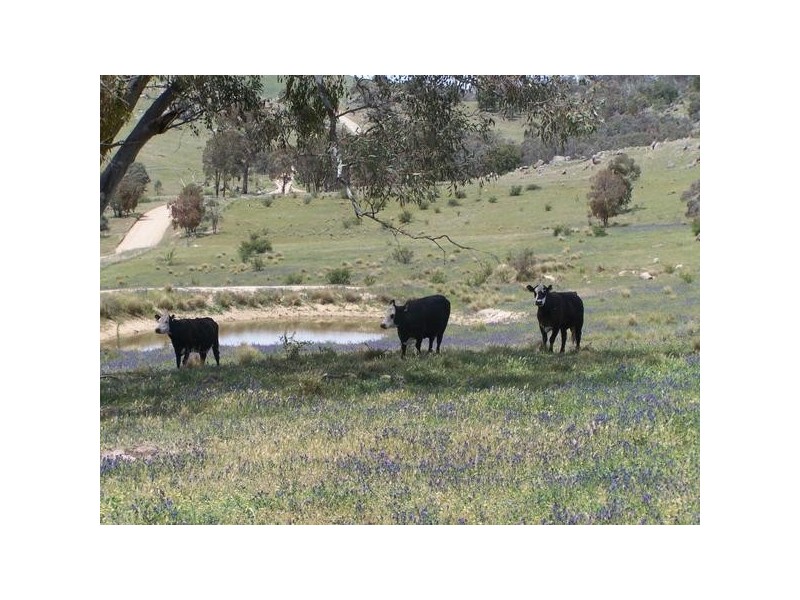 Lot 6 Grabine Road, Bigga NSW 2583