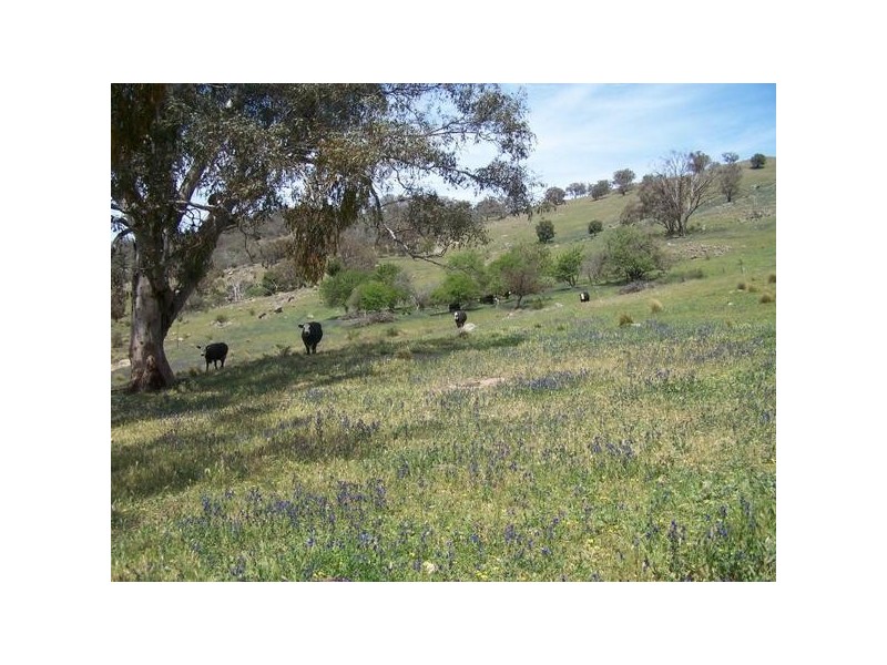 Lot 6 Grabine Road, Bigga NSW 2583