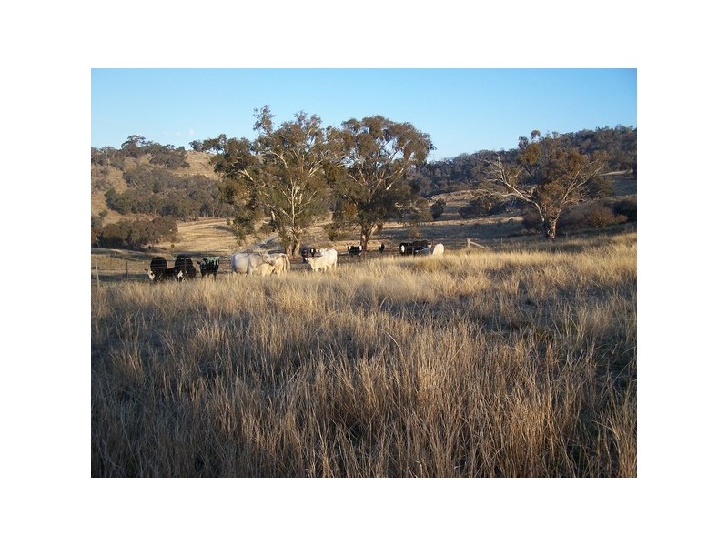 Lot 6 Grabine Road, Bigga NSW 2583