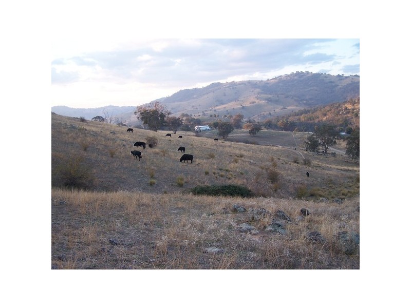 Lot 6 Grabine Road, Bigga NSW 2583