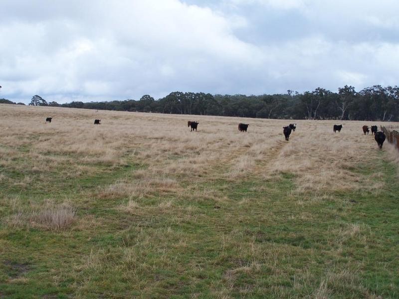 Lot 125 Golspie Road, Taralga NSW 2580
