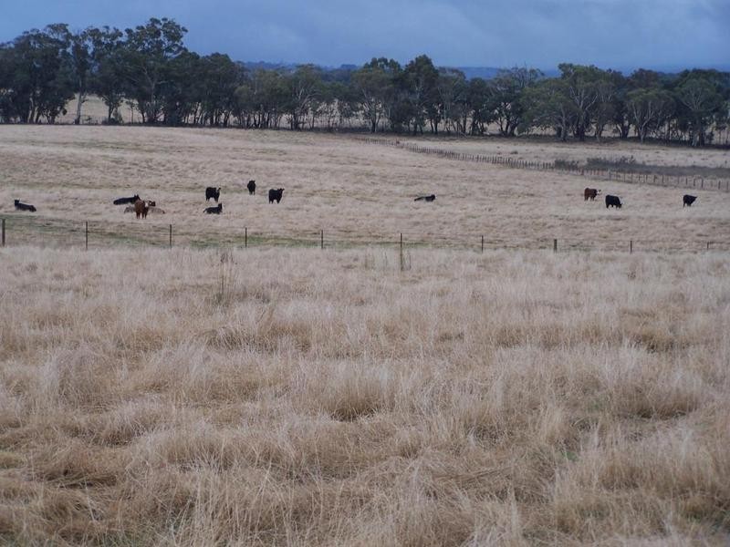 Lot 125 Golspie Road, Taralga NSW 2580