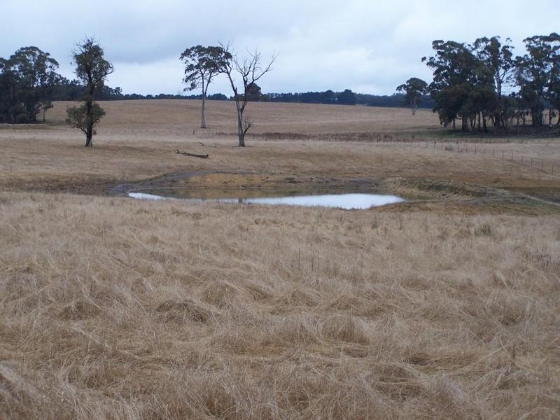 Lot 125 Golspie Road, Taralga NSW 2580