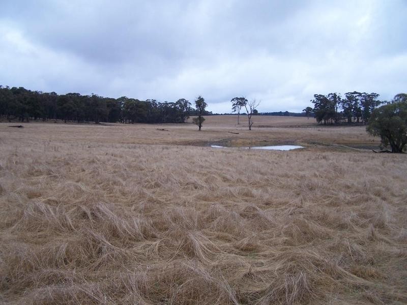 Lot 125 Golspie Road, Taralga NSW 2580