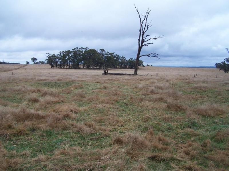 Lot 125 Golspie Road, Taralga NSW 2580