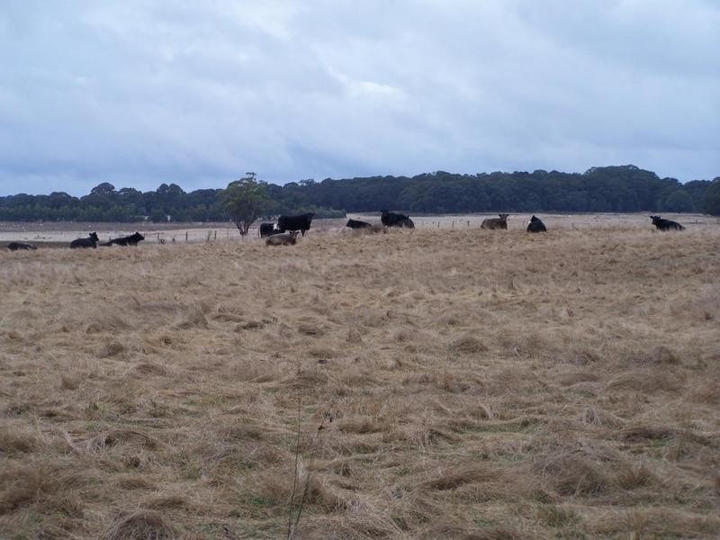 Lot 125 Golspie Road, Taralga NSW 2580