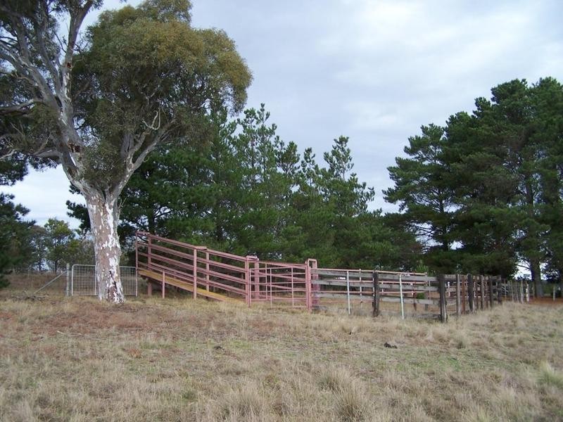 749 Glenovel Road, Lake Bathurst NSW 2580