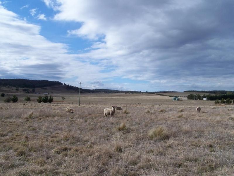 749 Glenovel Road, Lake Bathurst NSW 2580