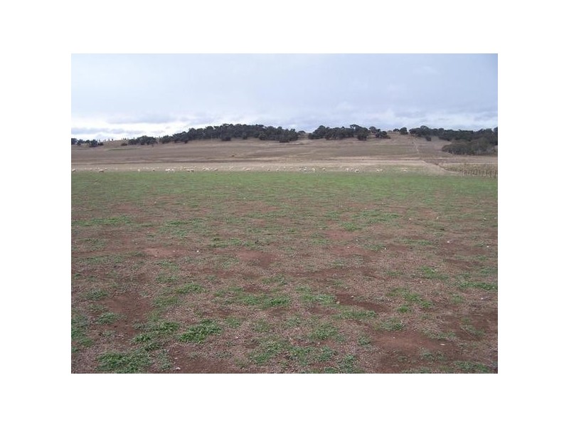3742 Braidwood Road, Goulburn NSW 2580