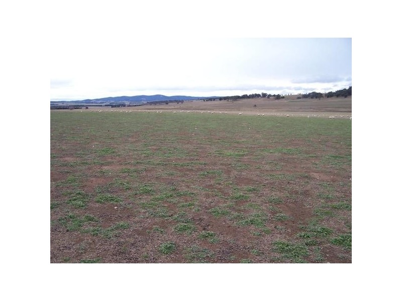 3742 Braidwood Road, Goulburn NSW 2580