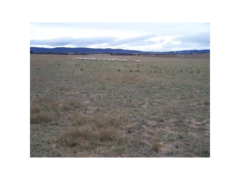 3742 Braidwood Road, Goulburn NSW 2580