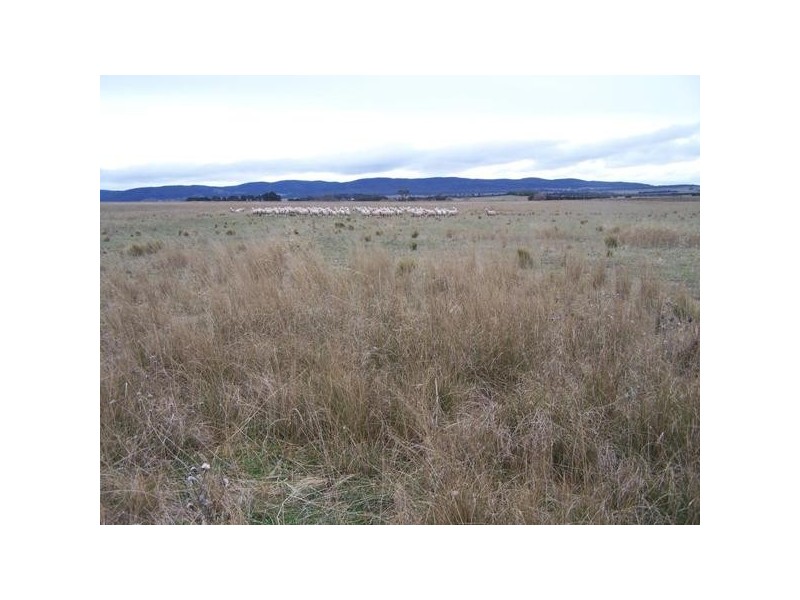 3742 Braidwood Road, Goulburn NSW 2580