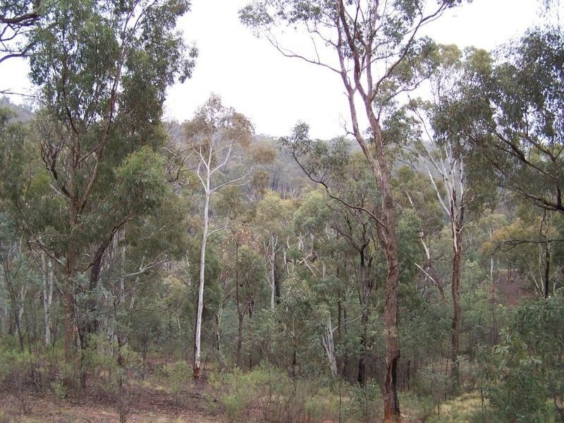 Lot 2  Off Millsvale Road, Fullerton NSW 2583