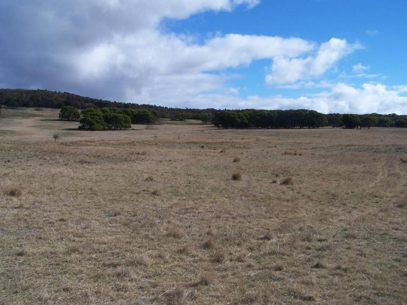 Lot 14 Braidwood Road, Tarago NSW 2580