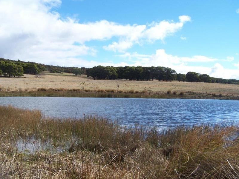 Lot 14 Braidwood Road, Tarago NSW 2580